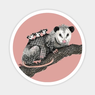 Opossum Totem Animal Magnet